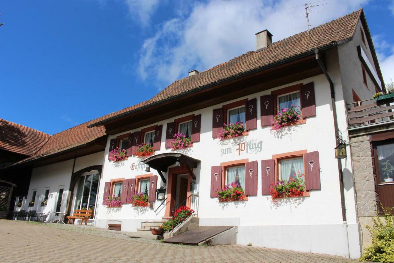 Hotel Landgasthof Zum Pflug Kleines Wiesental 外观 照片